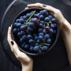 'Vanessa' Seedless Outdoor Grape Vine -Roots Plants Shop FRU0063 2