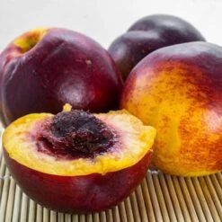 The 3 Best Fruits To Grow In Pots | Nectarine, Fig & Blueberry 12 The 3 Best Fruits To Grow In Pots | Nectarine, Fig & Blueberry -Roots Plants Shop FRU0140 1 561976aa 3a41 4efc bcd6 02411302aa0e