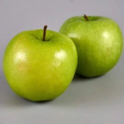 Granny Smith Apple Tree -Roots Plants Shop FRU0227 3