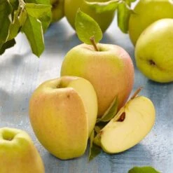 Golden Delicious Apple Tree -Roots Plants Shop FRU0229 2