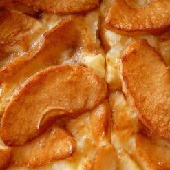 Bramley's Seedling Cordon Apple Tree -Roots Plants Shop FRU0258 4 42cffabe a4d3 4601 9d07 886e881b0539