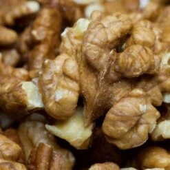 'Buccaneer' Walnut Tree -Roots Plants Shop FRU0413 3