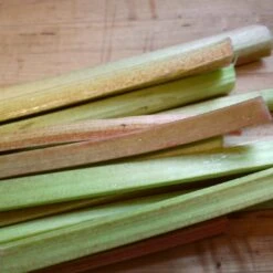 'Victoria' Rhubarb Plant -Roots Plants Shop VEG0187 3